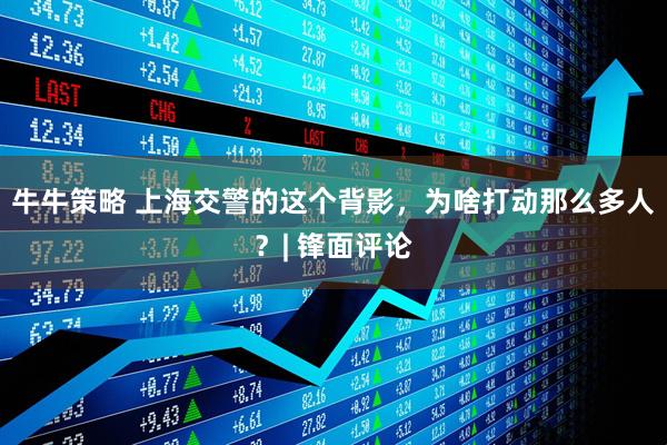 牛牛策略 上海交警的这个背影，为啥打动那么多人？| 锋面评论